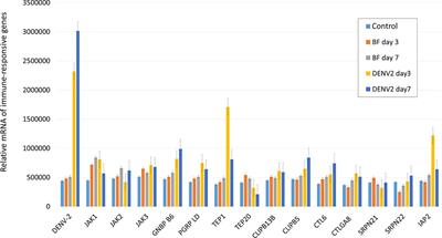 A Thioester-Containing Protein Controls Dengue Virus Infection in Aedes aegypti Through Modulating Immune Response